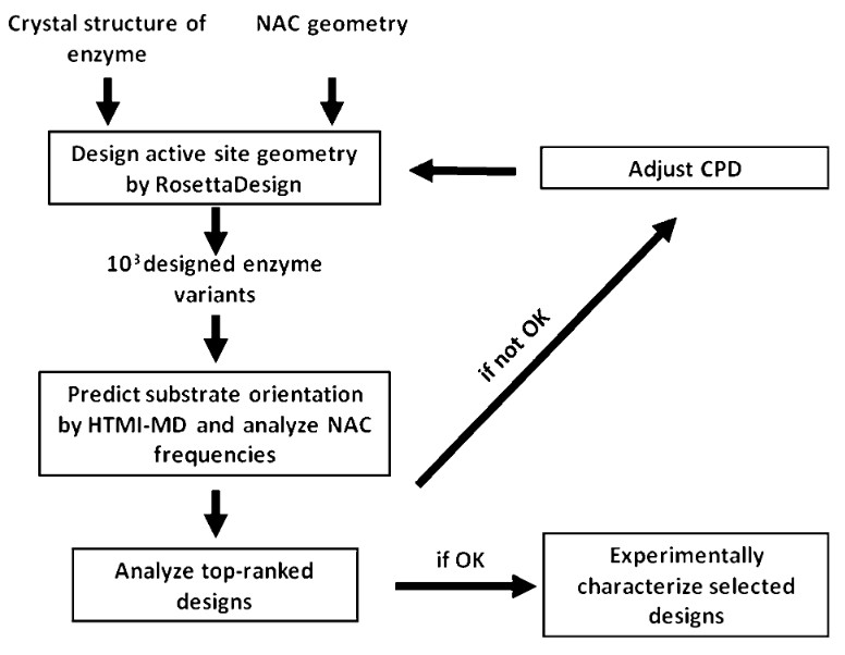 The developed CASCO framework for redesign of catalytic selectivity by integration of computational enzyme design and HTMI-MD