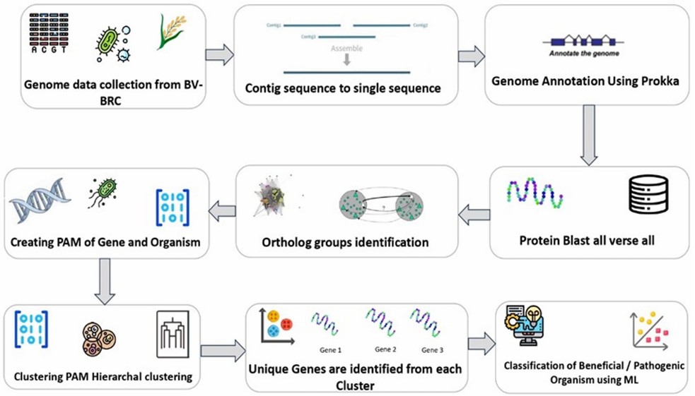AI-Based Analysis of the Rice Microbiome