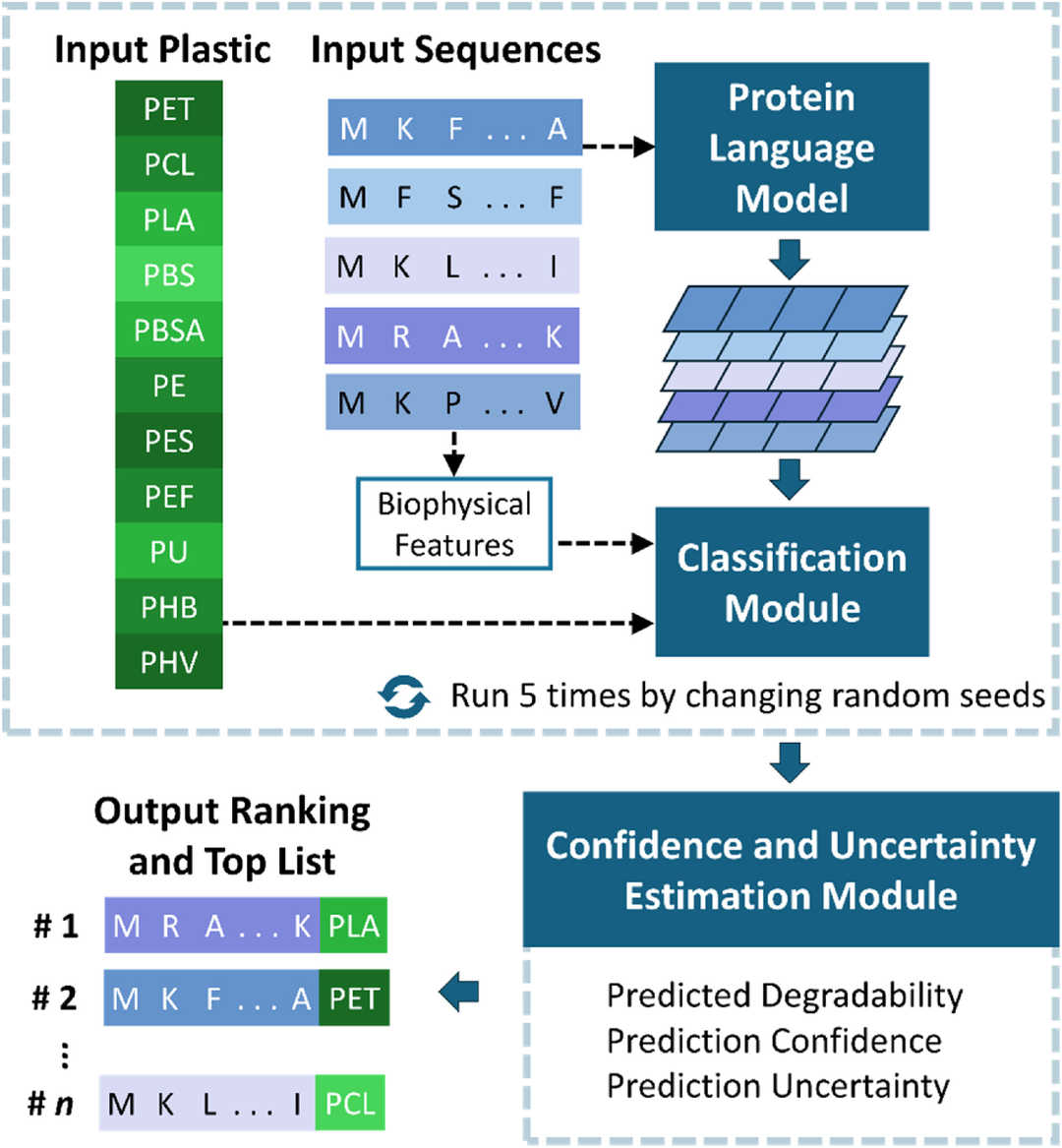 PEZy-Miner for Discovery of Plastic-Degrading Enzymes