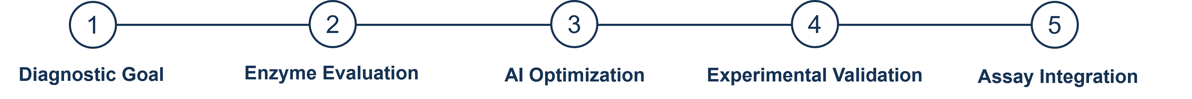 Development Workflow
