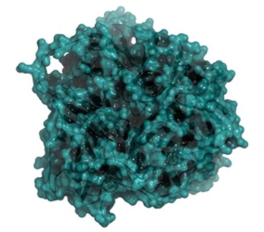 Enzyme Activity Measurement for Oxidoreductases Acting on CH-OH Group With a Copper Protein As Acceptor