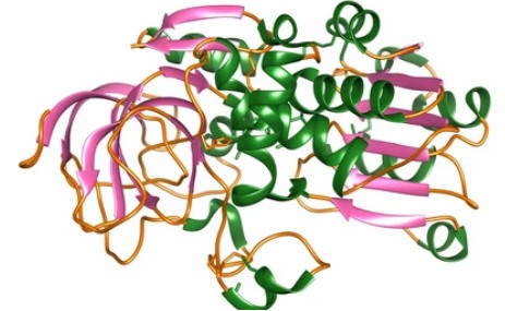 Enzyme Activity Measurement for Oxidoreductases Acting on the Aldehyde or Oxo Group of Donors With a Cytochrome as Acceptor