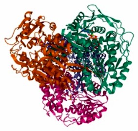 Enzyme Activity Measurement for Oxidoreductases Acting on the Aldehyde or Oxo Group of Donors With Oxygen as Acceptor