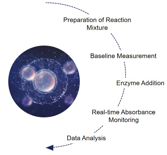 Enzyme Activity Measurement for Oxidoreductases Acting on the Aldehyde or Oxo Group of Donors With a Disulfide as Acceptor2