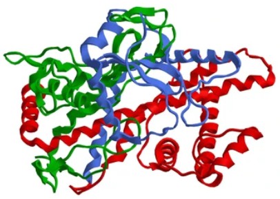 Enzyme Activity Measurement for Oxidoreductases Acting on the CH-CH Group of Donors With a Cytochrome as Acceptor