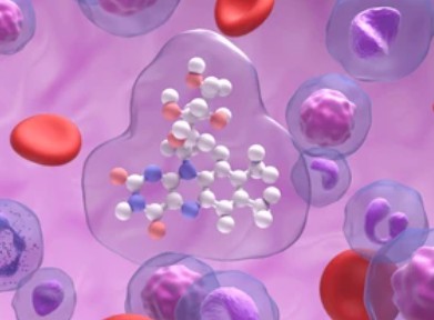 Enzyme Activity Measurement for Oxidoreductases Acting on CH-CH Groups With an FAD as Prosthetic Group