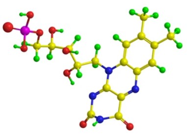 Enzyme Activity Measurement for Oxidoreductases Acting on CH-CH Groups With FMN Acceptor