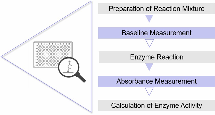 Enzyme Activity Measurement for Oxidoreductases Acting on CH-CH Groups With FMN Acceptor