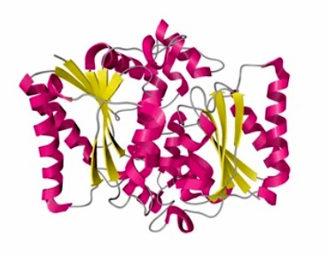 Enzyme Activity Measurement for Oxidoreductases Acting on CH-CH Groups With Other Acceptors