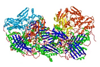 Enzyme Activity Measurement for Oxidoreductases Acting on CH-CH2 Groups With MCD as Acceptor