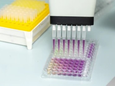 Enzyme Activity Measurement for Oxidoreductases Acting on CH-CH2 Groups With a Quinone or Similar Compound as Acceptor