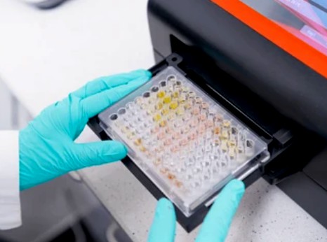 Enzyme Activity Measurement for Oxidoreductases Acting on the CH-NH2 Group of Donors With an Iron-Sulfur Flavoprotein as Acceptor