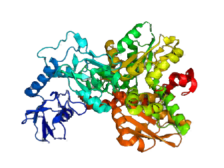 Structure of ferredoxin hydrogenase