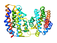 Structure of human heme oxygenase 1 (PDB: 1n3u)