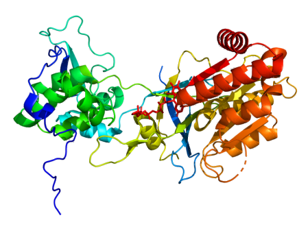 Structure of a human (methionine synthase) reductase (MTRR) (PDB: 2qtl)