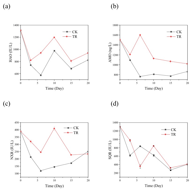 Effect of microbial inoculum on community and nitrogen–sulfur enzyme activity in sludge composting
