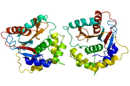 Structure of ubiquitin carboxy-terminal hydrolase L1 (UCHL1, PDB: 2etl)