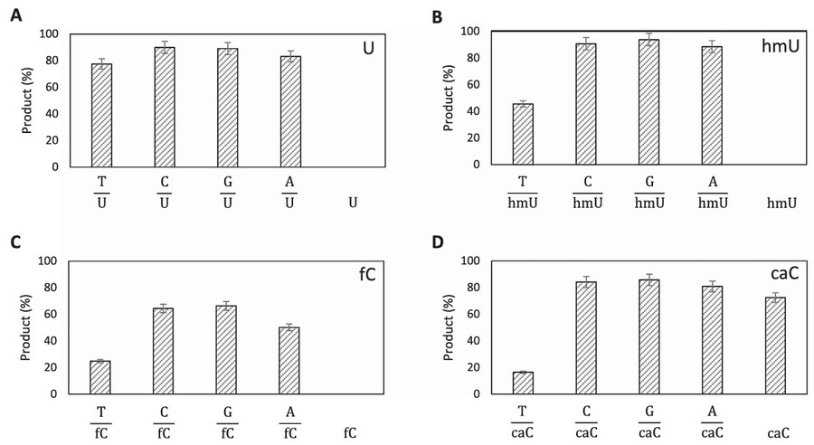 Screening of glycosylase activity on mC and its oxidative derivatives