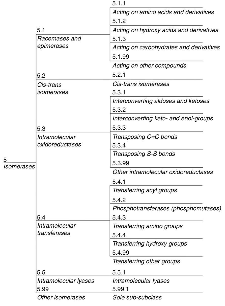 EC subclasses of isomerases