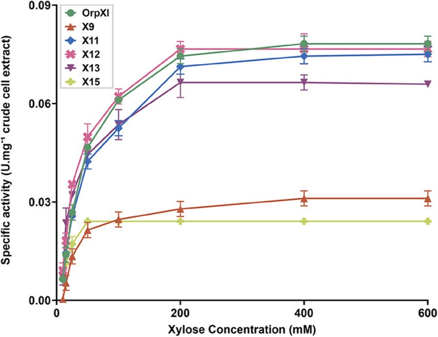 Enzymatic activity of different xylose isomerases (OrpXI, X9, X11, X13, and X15)