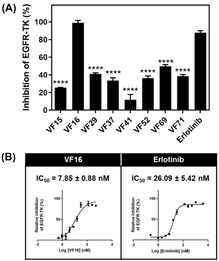 Inhibition of EGFR tyrosine kinase by vinyl sulfone derivatives