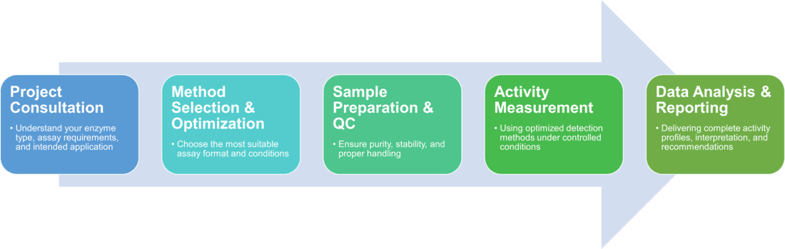 Workflow of enzyme activity measurement