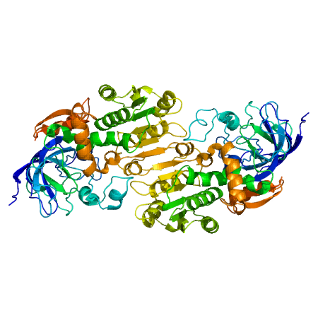 RNA polymerase from Saccharomyces cerevisiae complexed with α-Amanitin