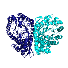 X-ray structure of methylaspartate ammonia lyase