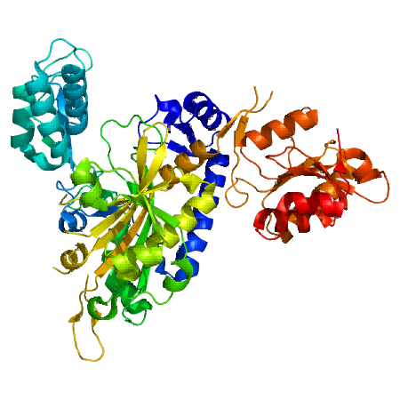 Structure of the human GARS protein (PDB 2pme)