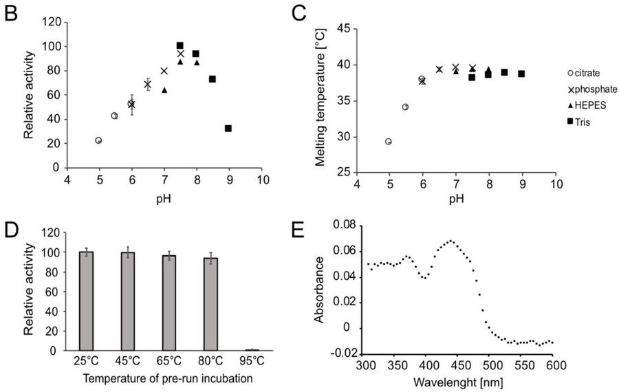 Characterization of HexNAcO from Ralstonia solanacearum