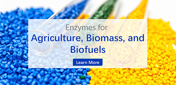 Agriculture, Biomass, and Biofuels