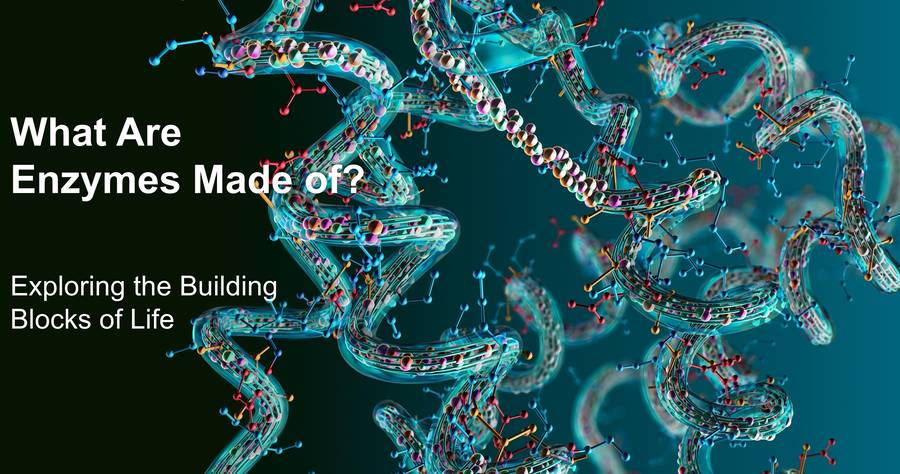 What Are Enzymes Made of? Exploring the Building Blocks of Life