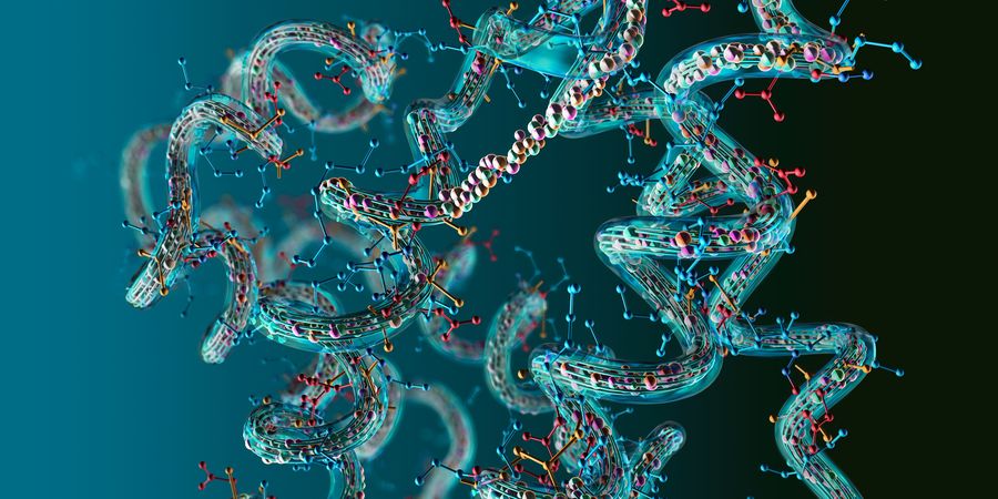 3D illustration of amino acid chains and proteins.