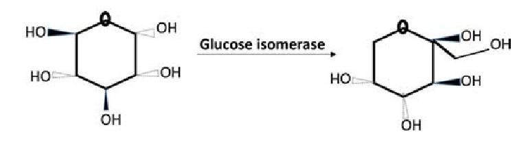 Glucose isomerase Catalyze the reversible conversion of glucose into fructose.