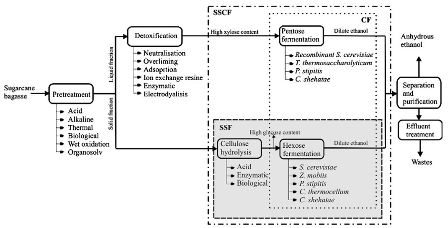 Process scheme of fuel ethanol production from sugar cane bagasse.