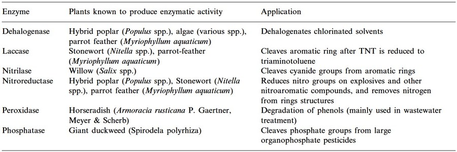 A tabular summary of some important enzymes, their enzymatic activities and applications.