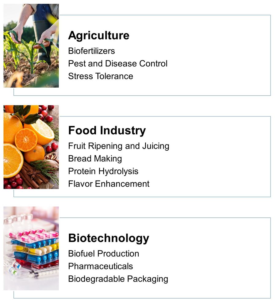 Applications of plant enzymes: agriculture, food industry, and biotechnology.