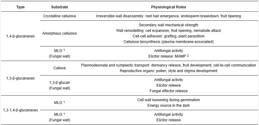 A tabular summary of the physiological roles of plant β-glucanases.