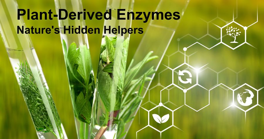 Plant-Derived Enzymes
