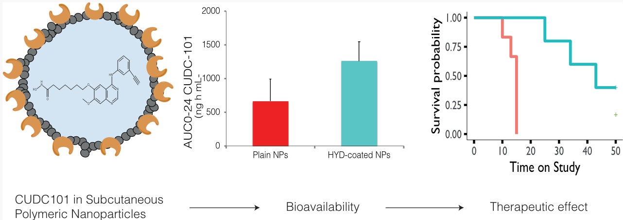 Hyaluronidase coated molecular envelope technology nanoparticles enhance drug absorption via the subcutaneous route.