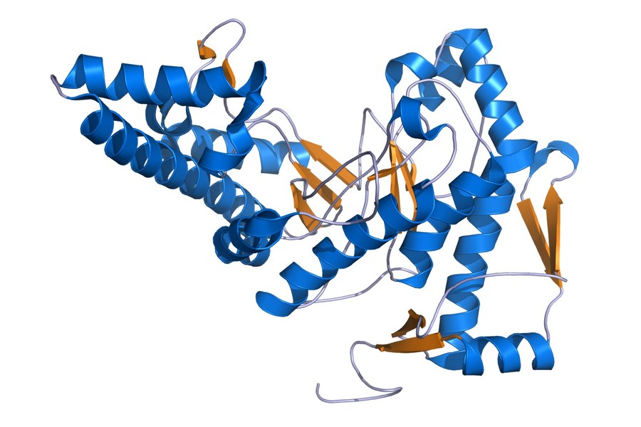 Hyaluronidase structure, PDB code: 2PE4.