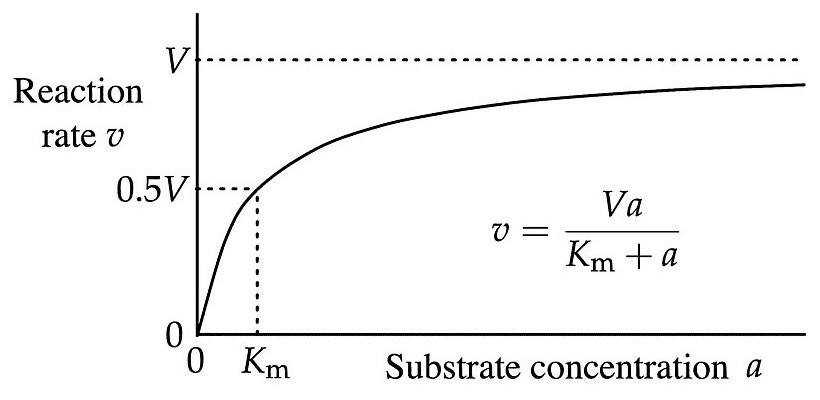 Curve of the Michaelis–Menten equation