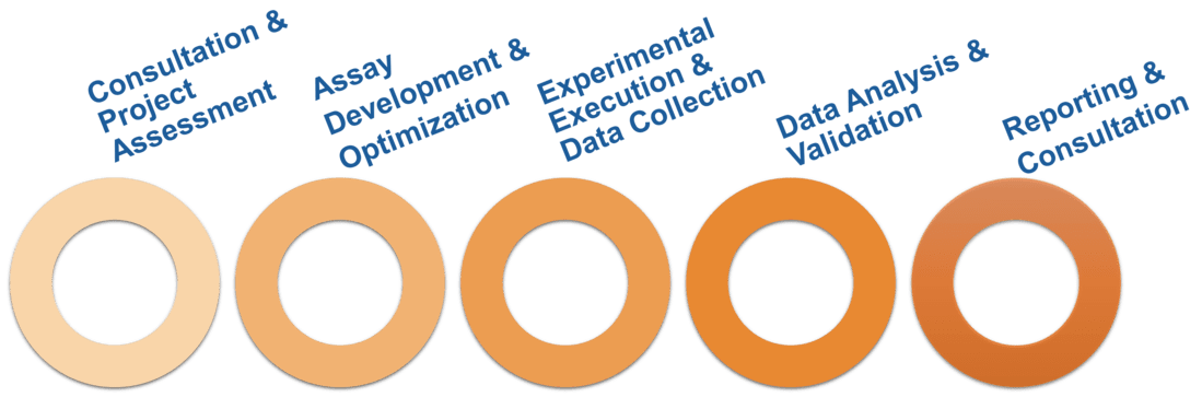 Workflow of Michaelis-Menten analysis service