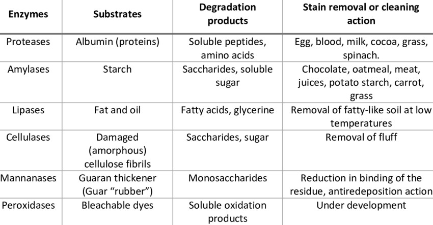 A summary of the enzymes used for laundry detergents and cleaners and their corresponding substrates, degradation products, and stain removal or cleaning action.