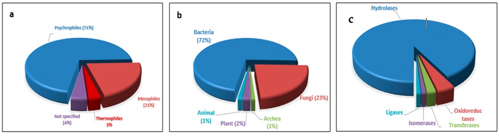 Pie charts of the proportions of different cold-active enzymes based on organism type, organism type, and reported cold-active enzymes.