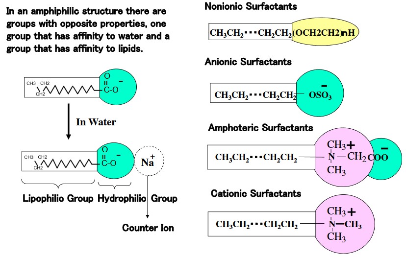 Surfactants consist of a hydrophilic (water attracting) and a hydrophobic (water repelling) group. It can be divided into nonionic, anionic, amphoteric and cationic surfactants.