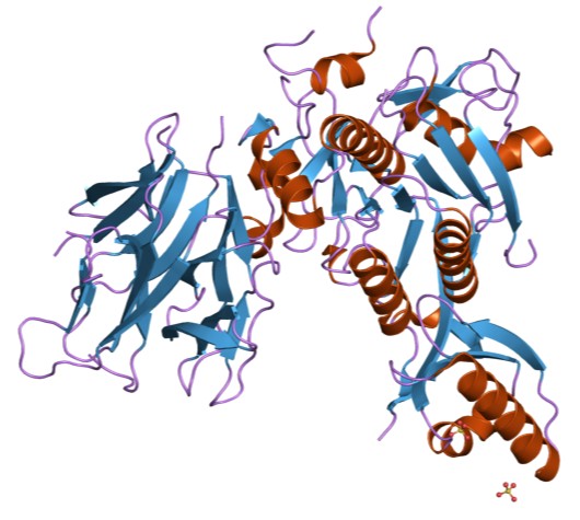 Structure of peptidase S8, subtilisin-related.