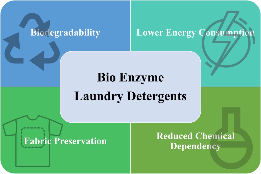 Advantages of bio enzyme detergents: Biodegradability, lower energy consumption, better fabric preservation, reduced chemical dependency.