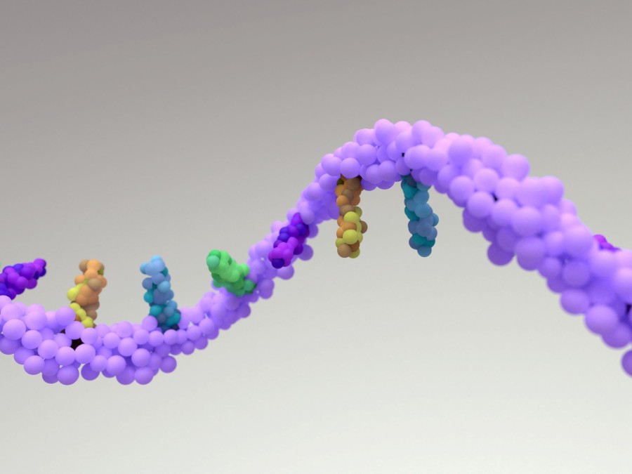 3D Illustration of mRNA.