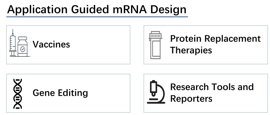 mRNA production is designed according to its applications.
